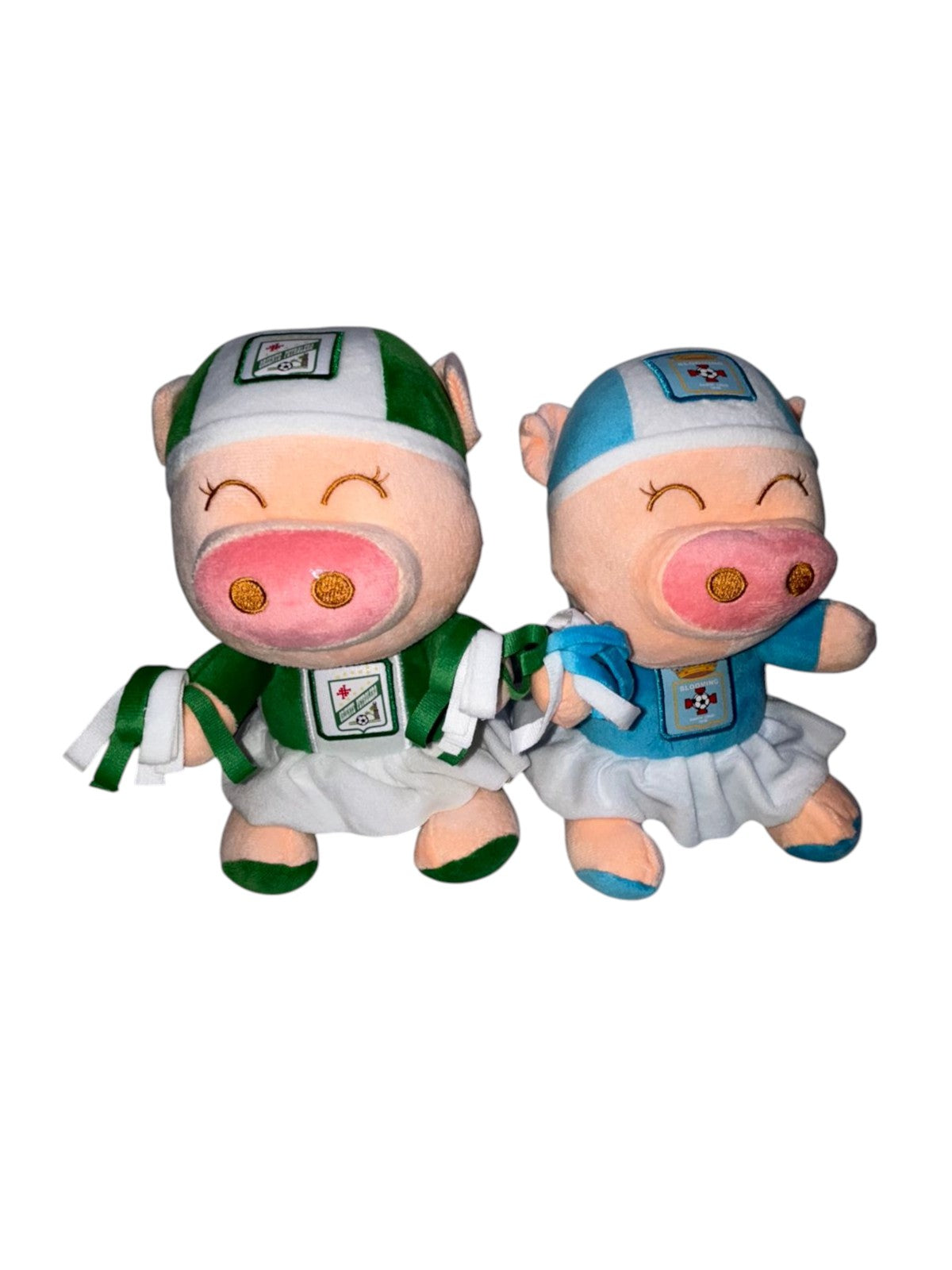 chancho oriente y bloming